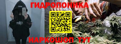 ПСИЛОЦИБИНОВЫЕ ГРИБЫ Изобильный