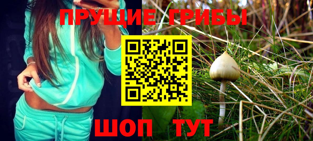 Псилоцибиновые грибы MAGIC MUSHROOMS Миасс